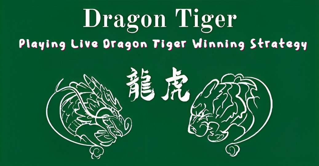 phwin-dragon-tiger-guide-winning-strategy-cover-1-phwin77